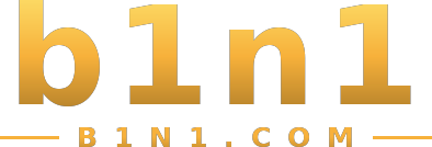 b1n1 logo